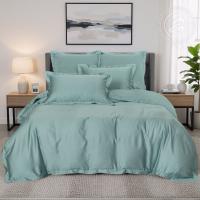 картинка Комплекты постельного белья (кпб) тенсел Ментоловый от производителя АртПостель