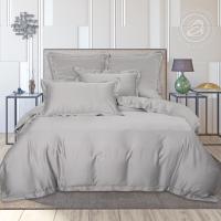 картинка Комплекты постельного белья (кпб) тенсел Платина от производителя АртПостель